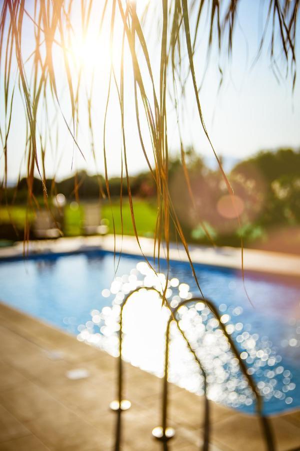 Martimi Apartments - 200M From Drapanias Beach - Pool - Hot Tub - Sauna - Bbq Kissamos Bagian luar foto